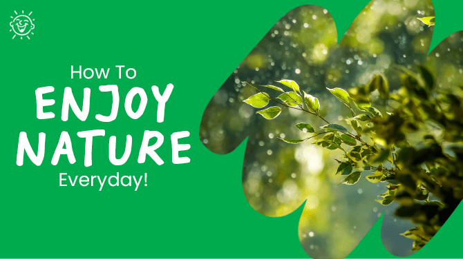 Enjoy nature thumbnail - picture of branch with bright green leaves