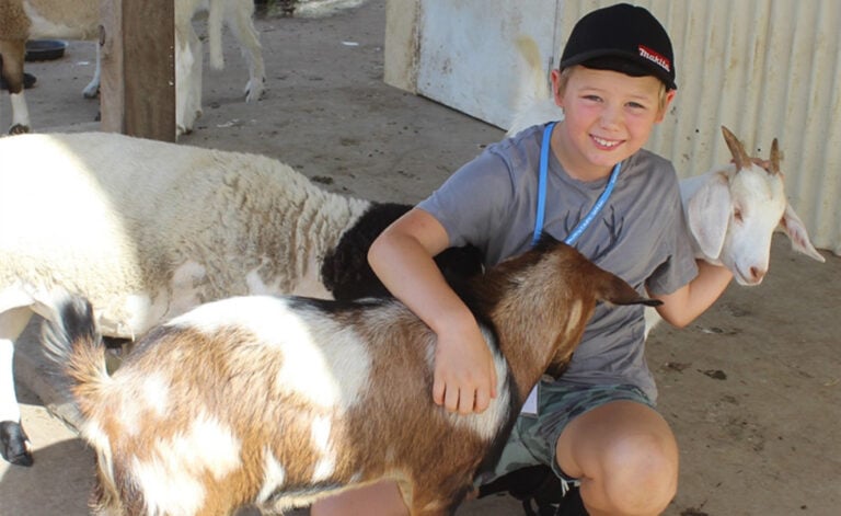 Child with Goats