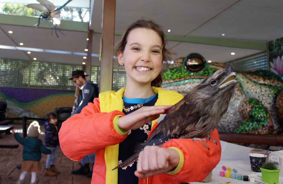 A girl smiles as she pats an owl perched on her arm